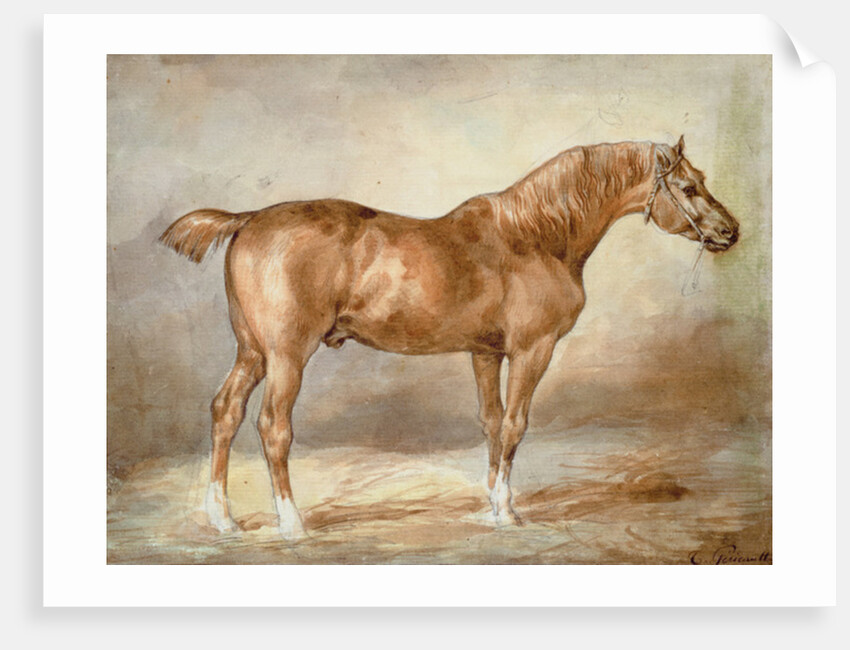 Horse in a Stable by Theodore Gericault