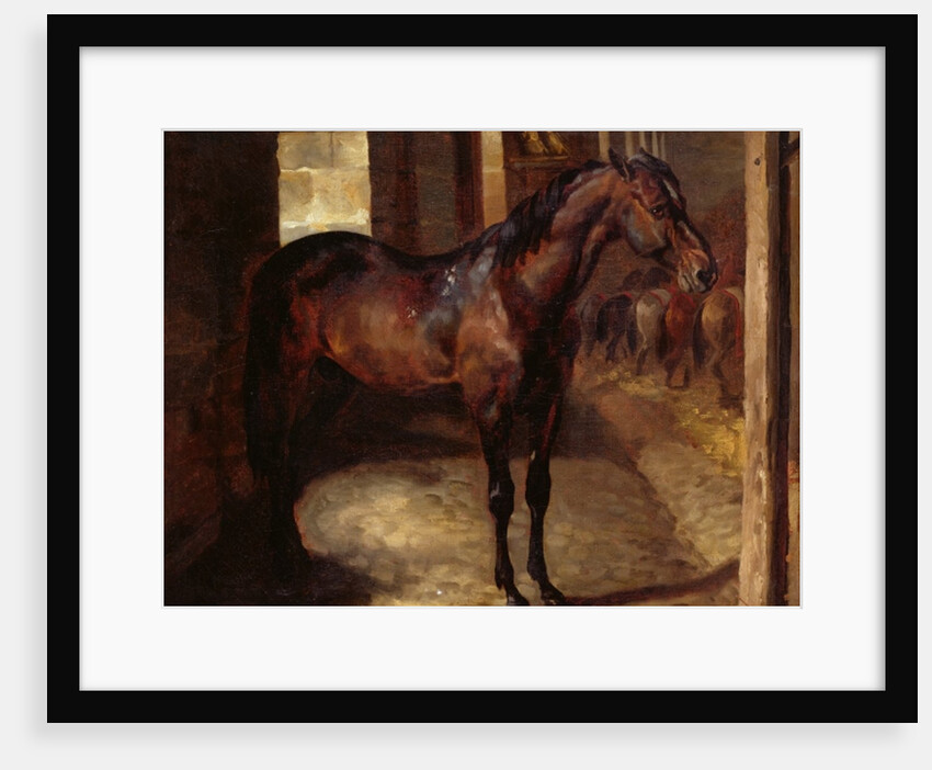 Anglo-Arabian Stallion in the Imperial Stables at Versailles by Theodore Gericault