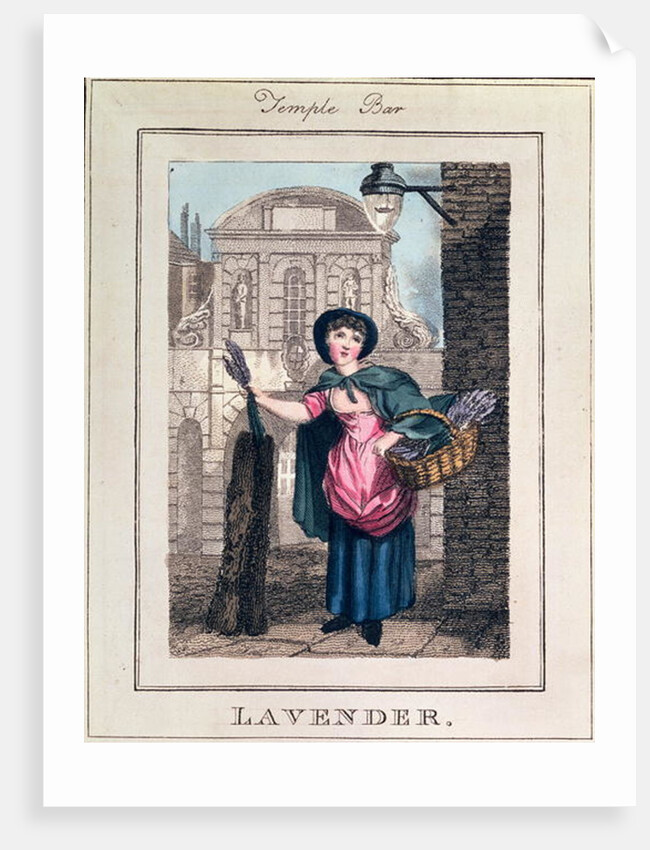 Lavender, Temple Bar by William Marshall Craig