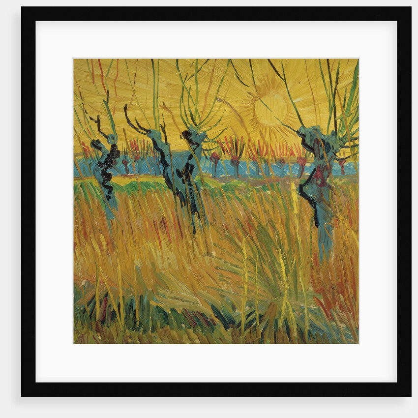 Pollard willows at sunset, 1888 by Vincent van Gogh