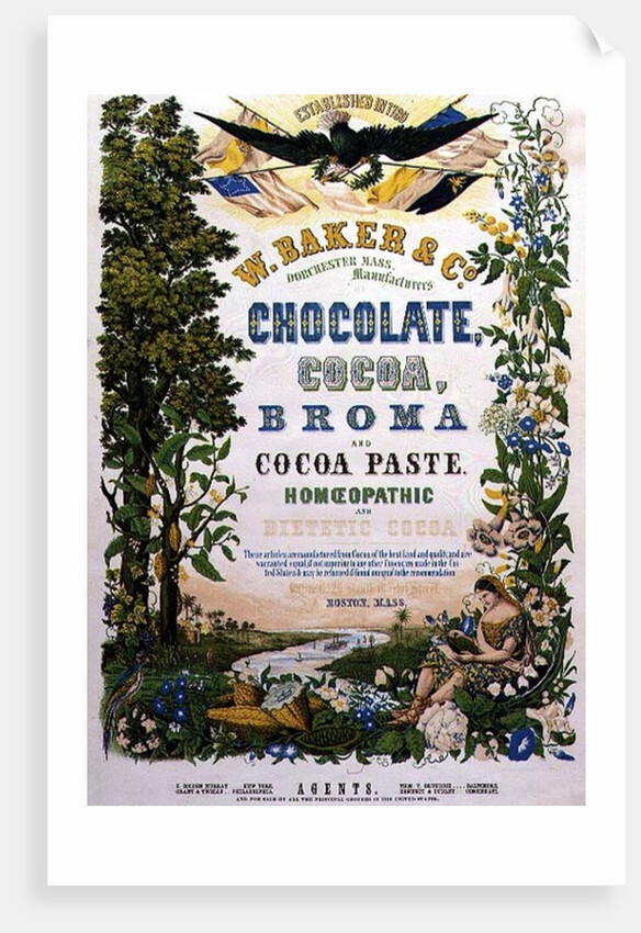 American Advertising Poster for Chocolate and other Cocoa products, 19th century by Anonymous