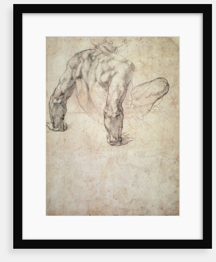 W.63r Study of a male nude, leaning back on his hands by Michelangelo Buonarroti