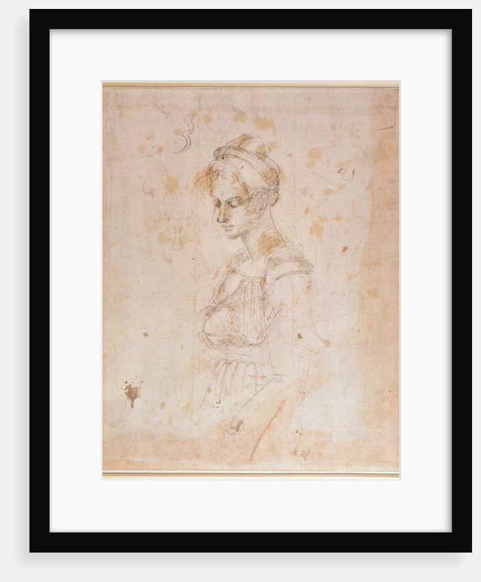 Sketch of a woman by Michelangelo Buonarroti