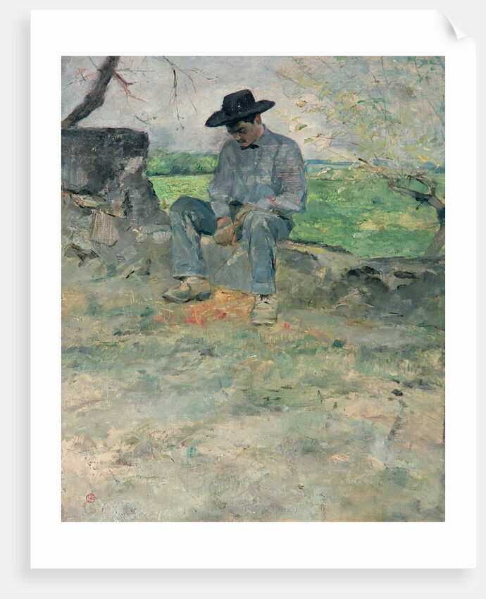 Young Routy at Celeyran, 1882 by Henri de Toulouse-Lautrec