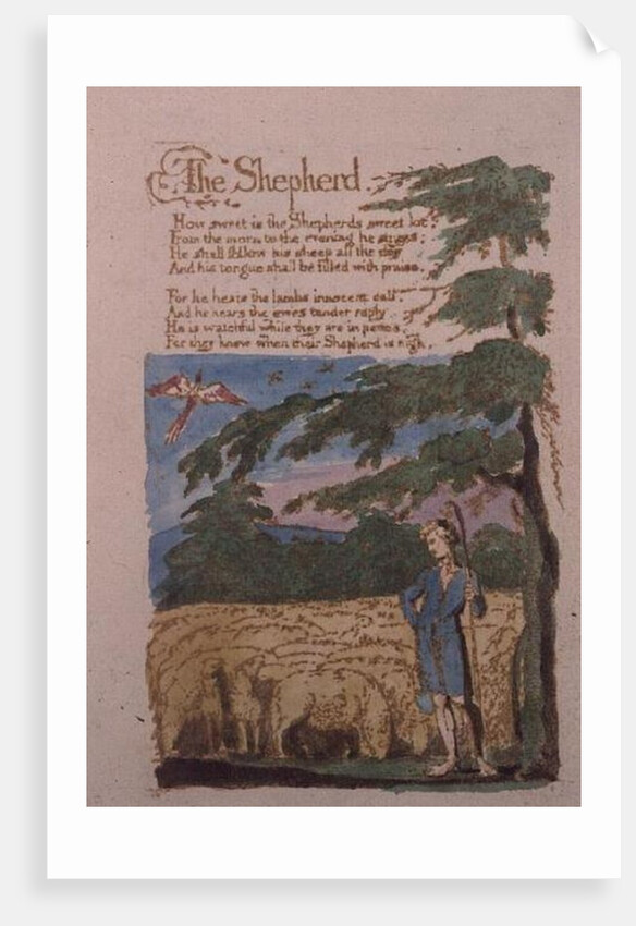 The Shepherd, from Songs of Innocence, 1789 by William Blake