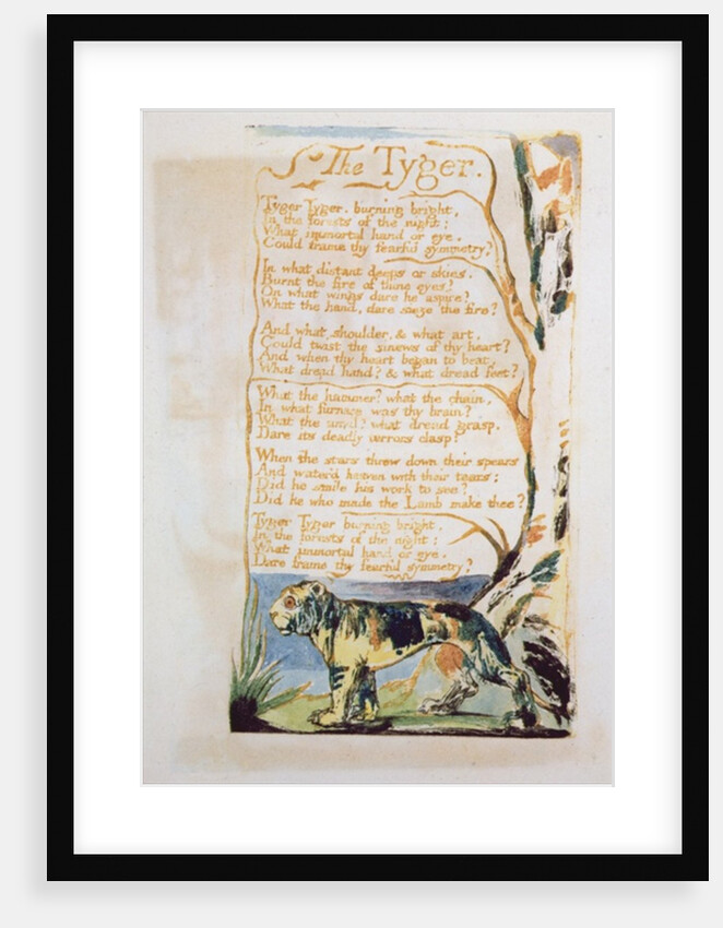 The Tyger by William Blake