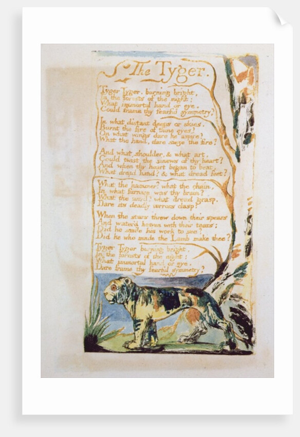 The Tyger by William Blake