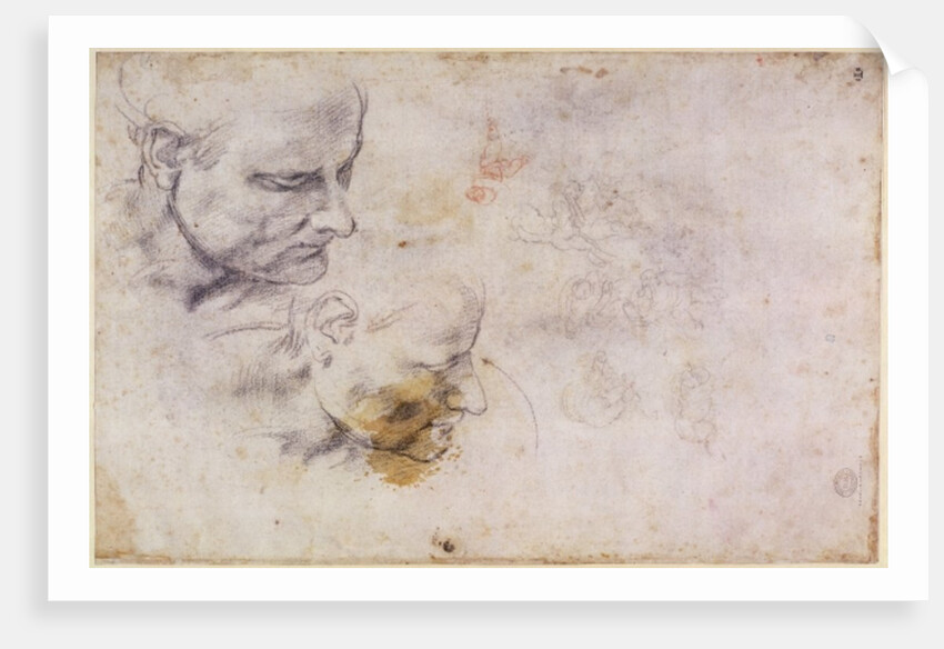 W.60 Sketch of a male head, in two positions by Michelangelo Buonarroti