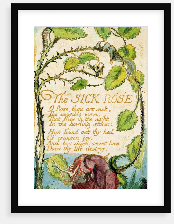 The Sick Rose by William Blake