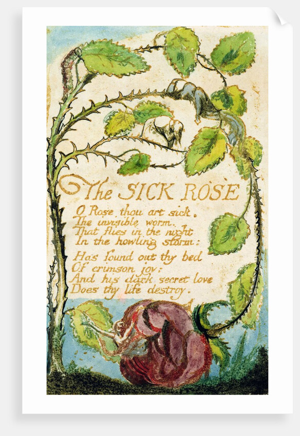 The Sick Rose by William Blake
