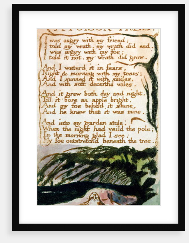 A Poison Tree by William Blake
