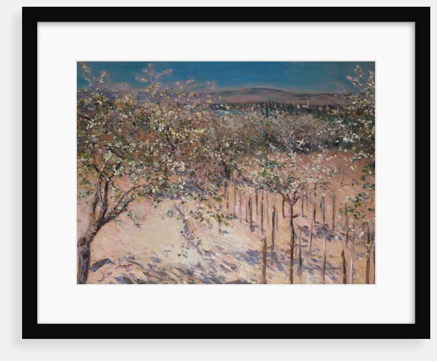 Orchard with Flowering Apple Trees, Colombes by Gustave Caillebotte