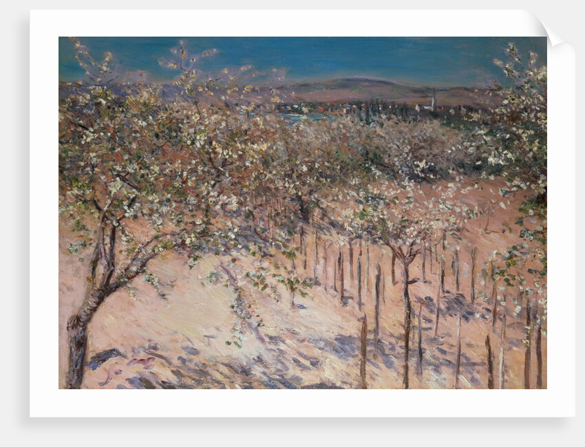 Orchard with Flowering Apple Trees, Colombes by Gustave Caillebotte