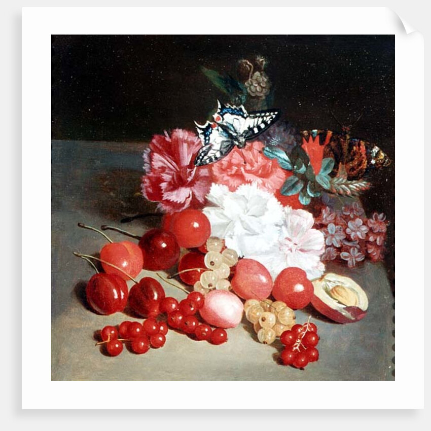 Still Life with Butterflies by Louis Leopold Boilly