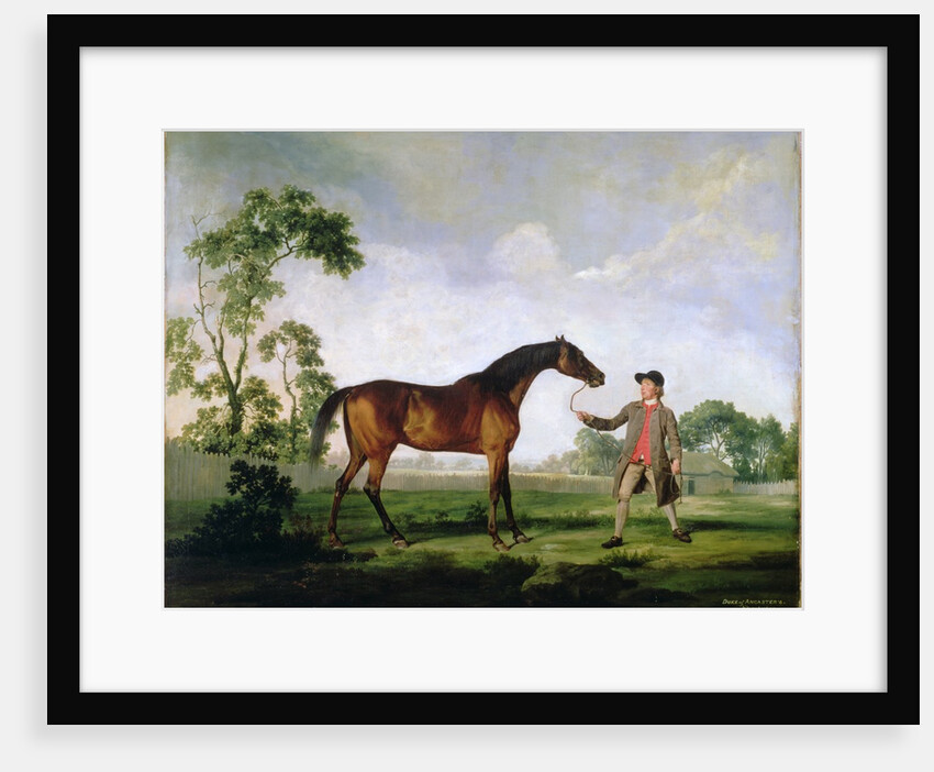 The Duke of Ancaster's bay stallion 'Spectator', held by a groom, c.1762-5 by George Stubbs