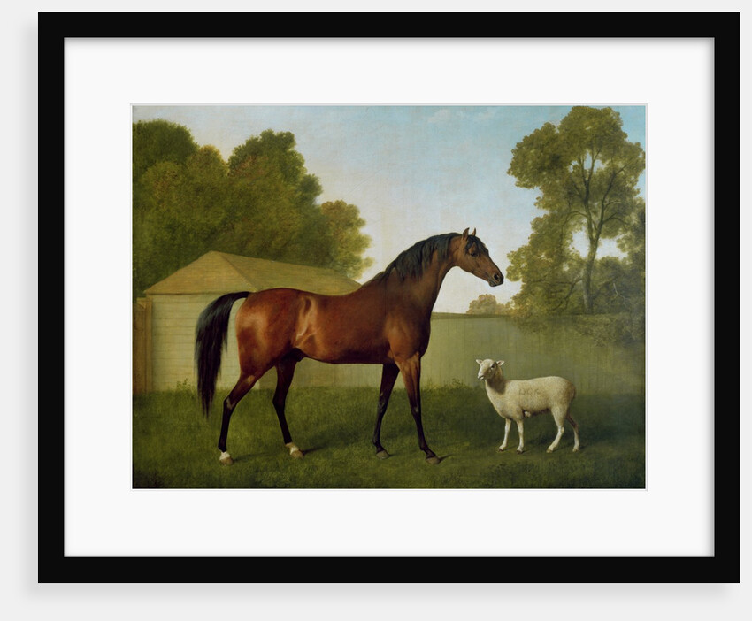 Dungannon, the property of Colonel O'Kelly, painted in a paddock with a sheep by George Stubbs