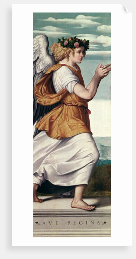 An Adoring Angel, c.1540 by Moretto da Brescia