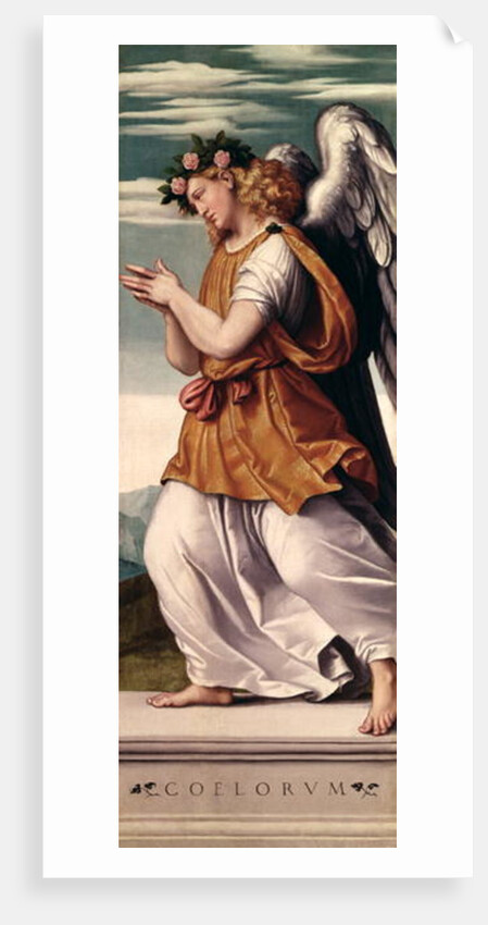 An Adoring Angel, c.1540 by Moretto da Brescia