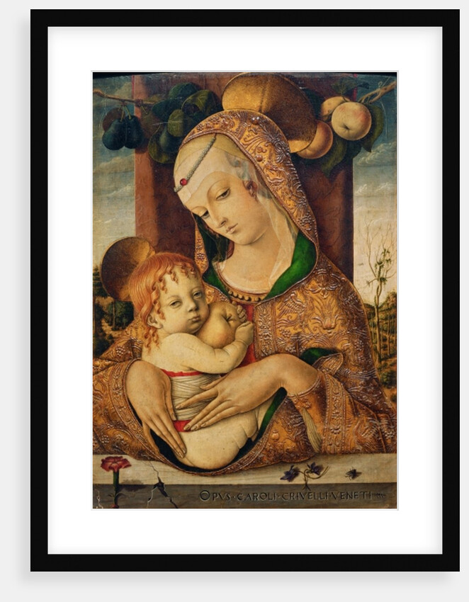 Virgin and Child, c.1480 by Carlo Crivelli