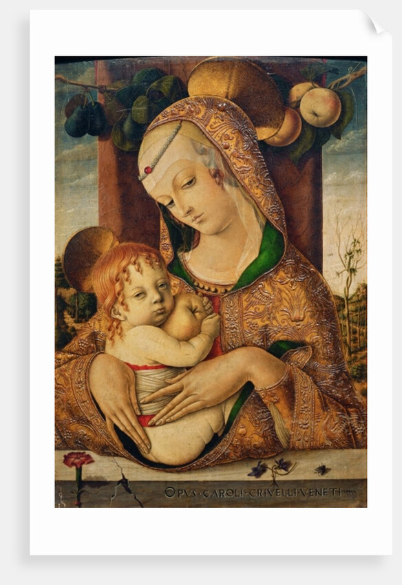 Virgin and Child, c.1480 by Carlo Crivelli