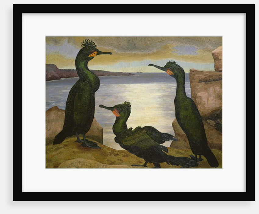 Shags, 1938 by Cedric Morris
