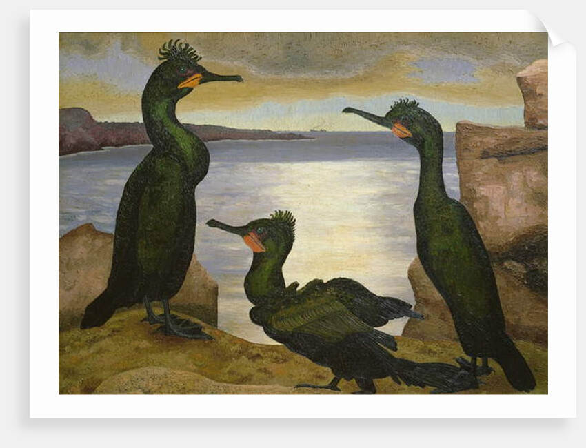 Shags, 1938 by Cedric Morris