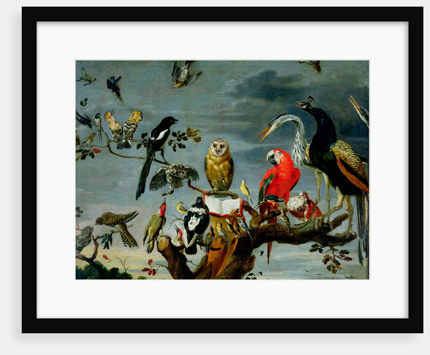 Concert of Birds by Frans Snyders or Snijders