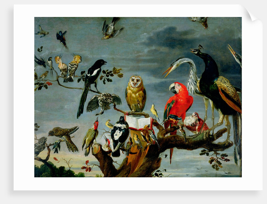 Concert of Birds by Frans Snyders or Snijders