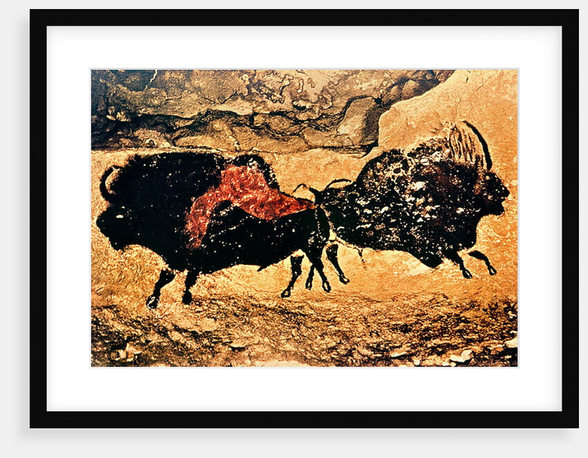 Cave painting of bison, Caves of Lascaux, Dordogne, c.17000 BC by Prehistoric Prehistoric