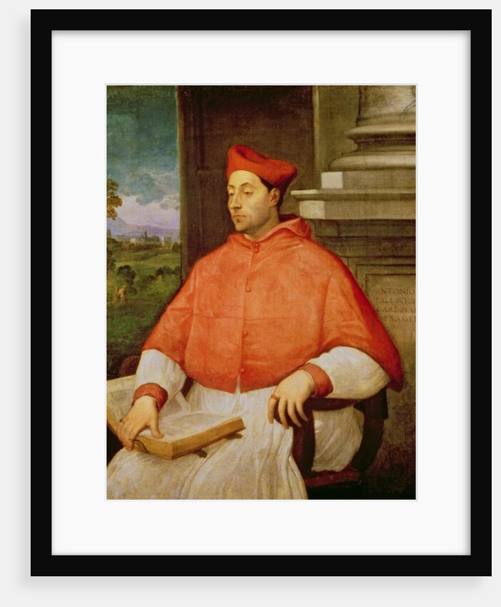 Portrait of Cardinal A. Pallavicini, 1512 by Sebastiano del Piombo