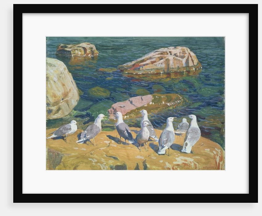 Seagulls, 1910 by Arkadij Aleksandrovic Rylov