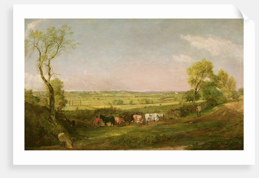 Dedham Vale: Morning, c.1811 by John Constable
