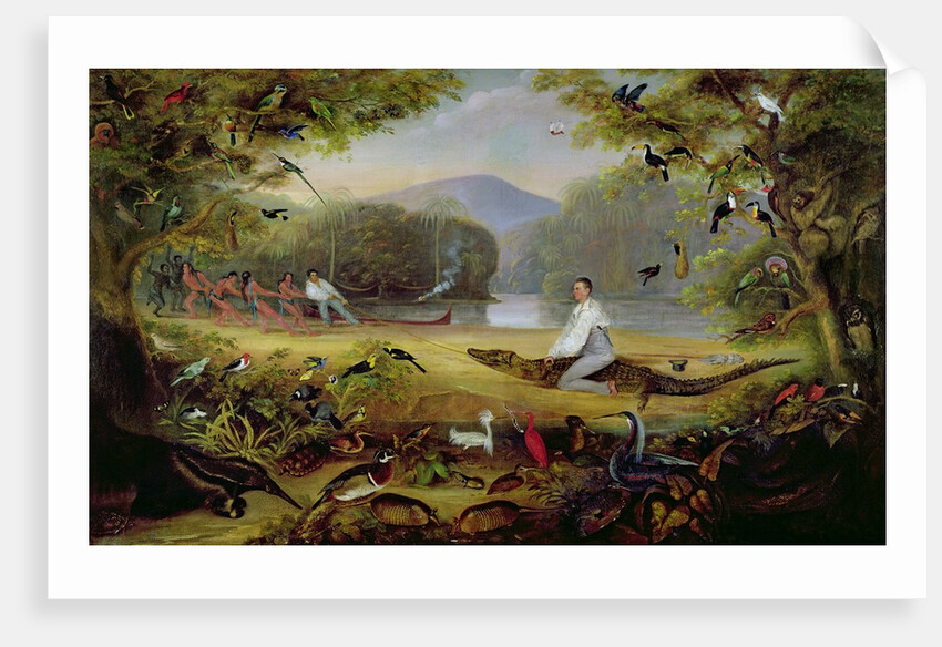 Charles Waterton capturing a cayman, 1825-26 by Captain Edward Jones