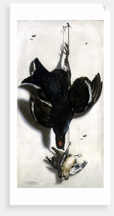 Trompe l'oeil of a black grouse and finches by Jacobus Biltius