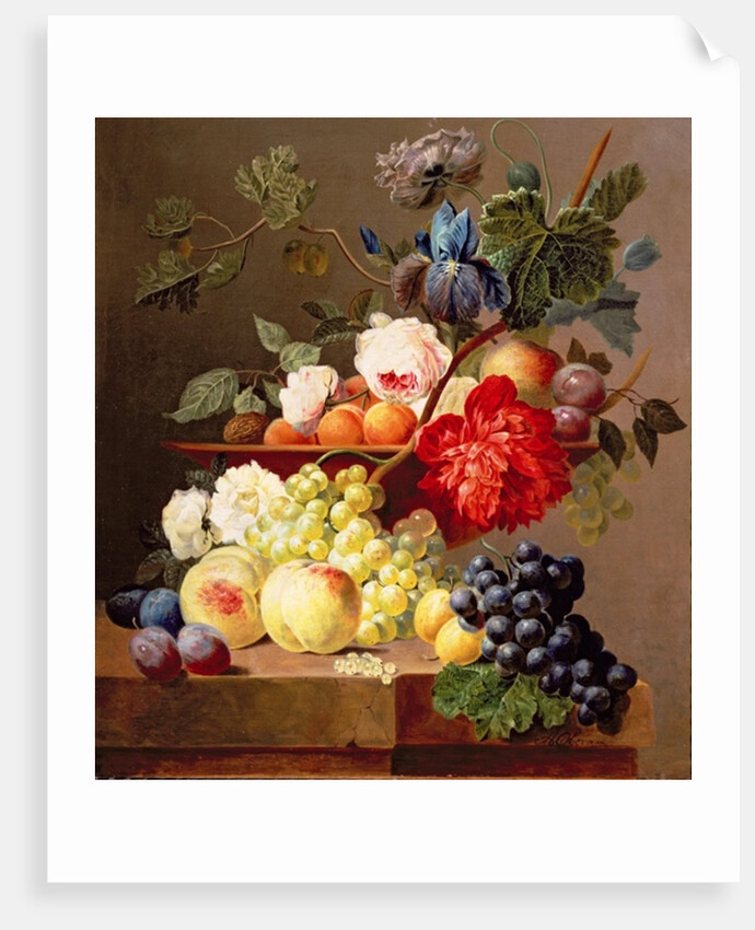 Still life with fruit and flowers by Anthony Obermann