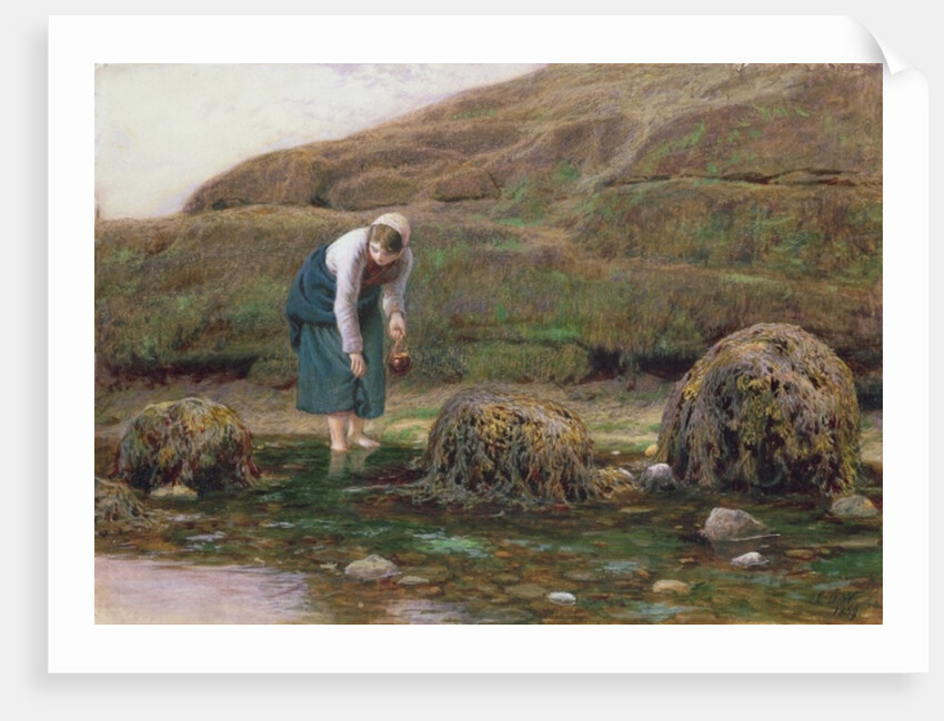 The Winkle Gatherer, 1869 by John Dawson Watson