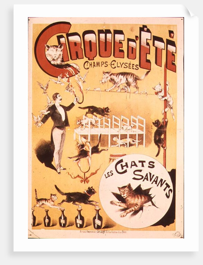 Poster advertising the Cirque d'Ete in the Champs Elysees, late 19th century by French School
