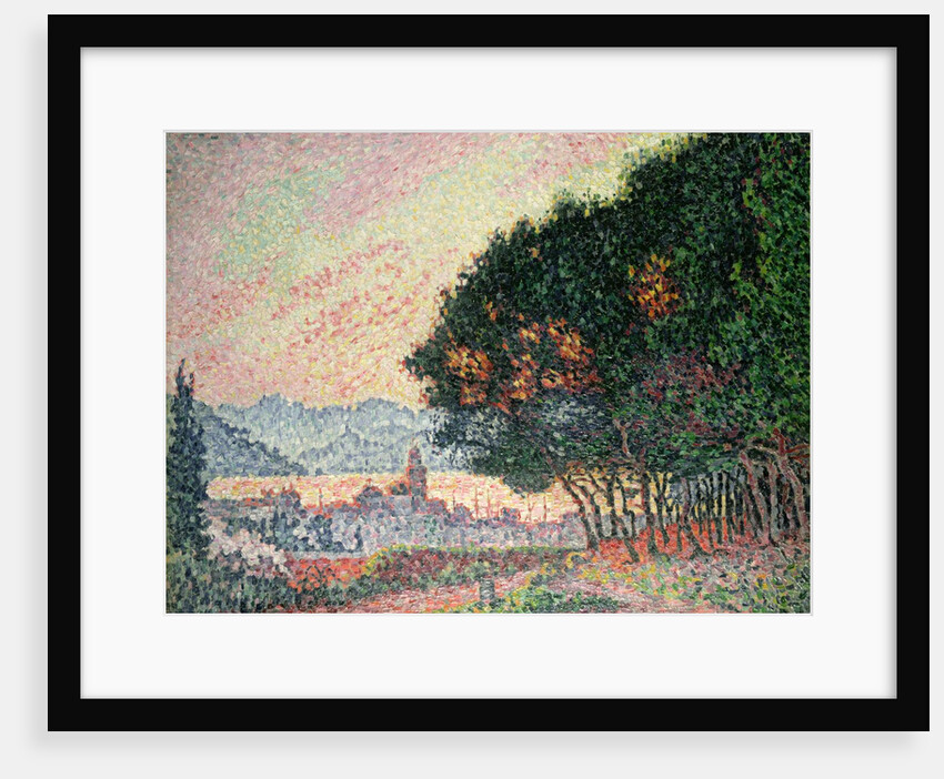 Forest near St. Tropez, 1902 by Paul Signac