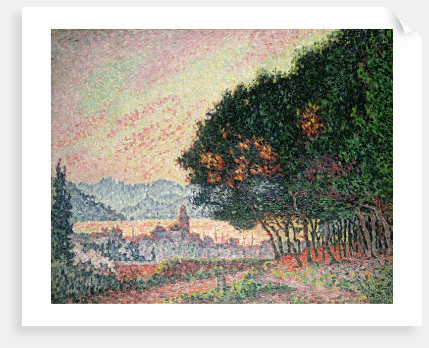 Forest near St. Tropez, 1902 by Paul Signac