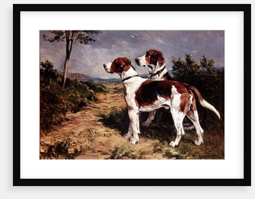 Two Hounds in a Landscape by John Emms