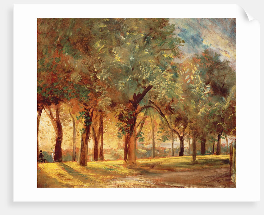 The Judges' Walk, Hampstead, c. 1820 by John Constable