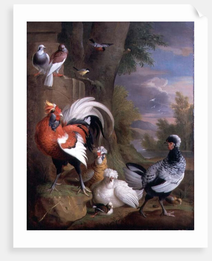 Exotic Birds in a Landscape by Jakob Bogdani