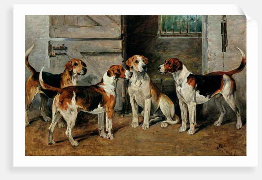 Study of Hounds by John Emms
