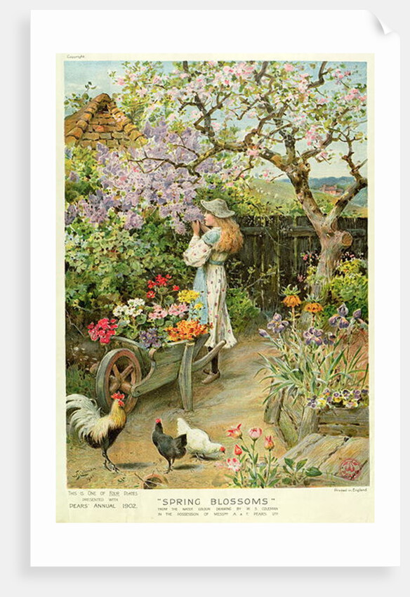 Spring Blossoms by William Stephen Coleman