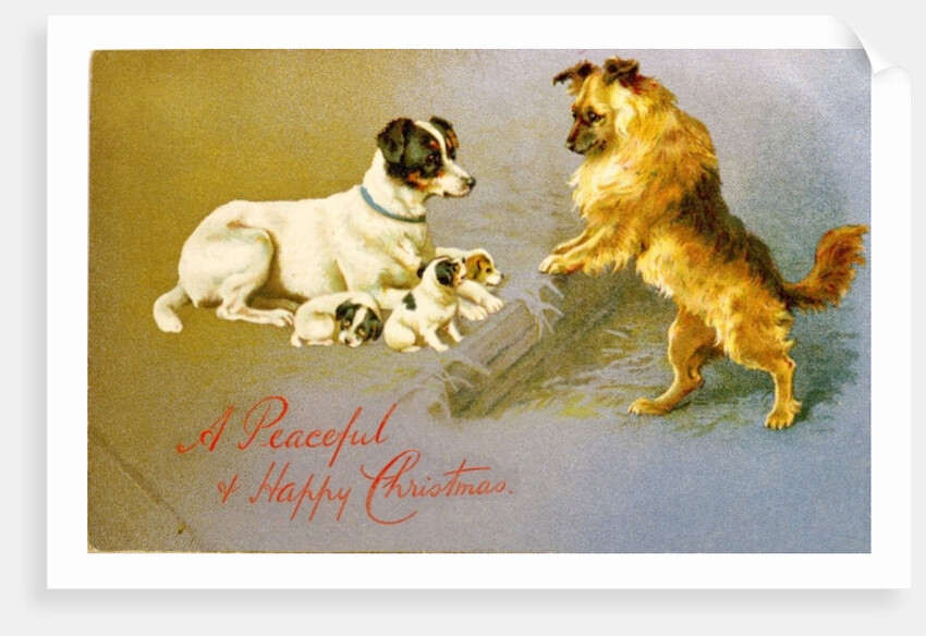 Puppies in the Straw, Victorian postcard by Anonymous