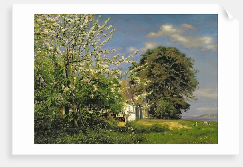 Spring Blossom, 1908 by Christian Zacho