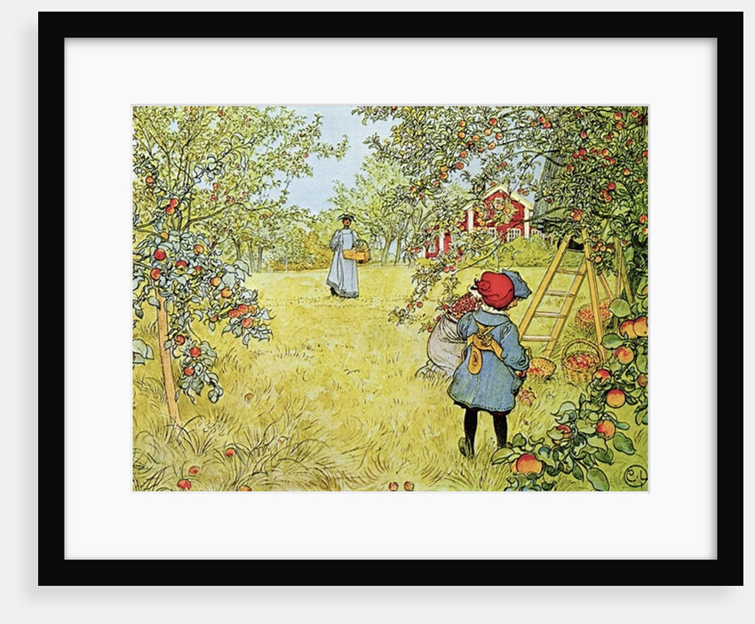 The Apple Harvest, 1903 by Carl Larsson