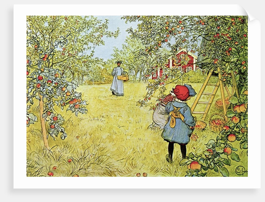 The Apple Harvest, 1903 by Carl Larsson