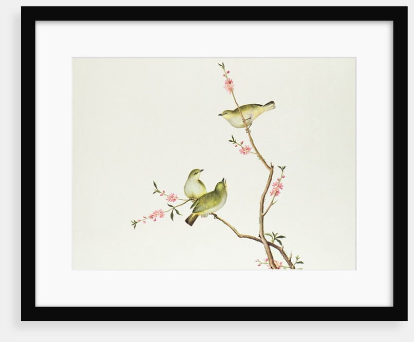 White-Eye bird, Ch'ien-lung period by Qing Dynasty Chinese School