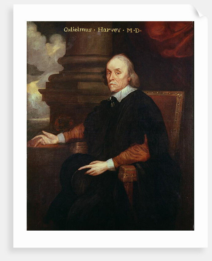 William Harvey Royal physician, 17th century by Anonymous Anonymous